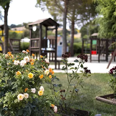 La Cantina Di Bacco Loretello