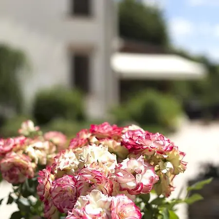 La Cantina Di Bacco Loretello