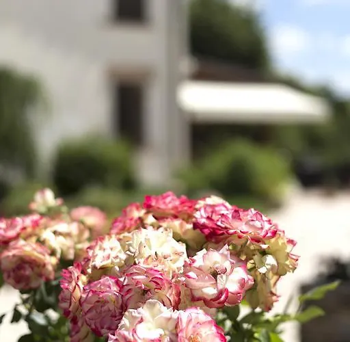 La Cantina Di Bacco Loretello